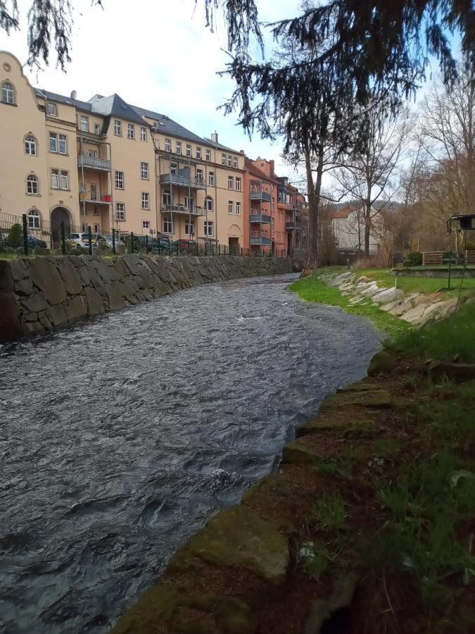 Ferienwohnung Zum Sebnitzer Hirsch Luaran gambar